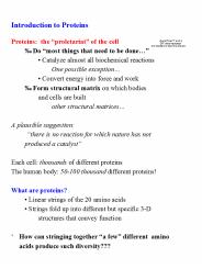 predominates at