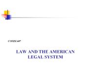 Law and the American Legal System