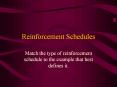 Reinforcement Schedules PowerPoint PPT Presentation