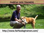 Henderson Dog Trainers - hendersondogtrainers.com