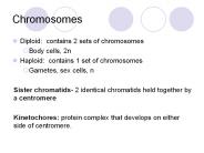 Chromosomes