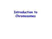 Introduction to Chromosomes