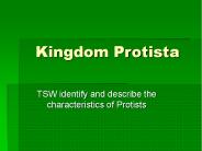 Kingdom Protista