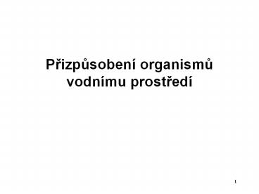 Prizpusoben