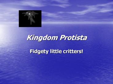 Kingdom Protista