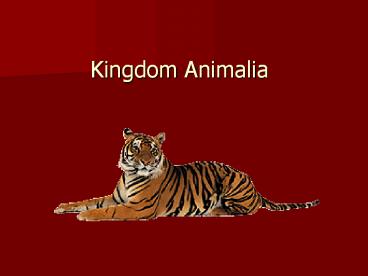 Kingdom Animalia