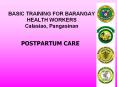 POSTPARTUM CARE PowerPoint PPT Presentation