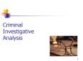 Criminal Investigative Analysis PowerPoint PPT Presentation