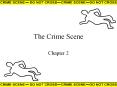 The Crime Scene PowerPoint PPT Presentation