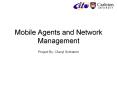 Mobile Agents and Network Management PowerPoint PPT Presentation