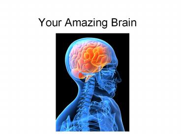 Your Amazing Brain