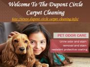 Dupont Circle Carpet Cleaning