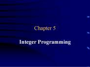 Integer Programming