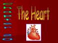 The Heart PowerPoint PPT Presentation
