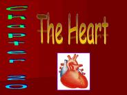 The Heart