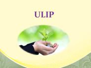 Life Insurance launches low ticket ULIP