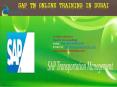 sap tm online training in dubai PowerPoint PPT Presentation