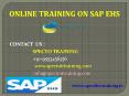 sap ehs online training PowerPoint PPT Presentation