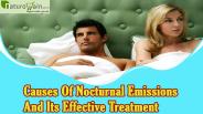 Causes Of Nocturnal Emissions And Its Effective Treatment