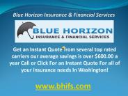 Blue Horizon Insurance & Financial Services Washington