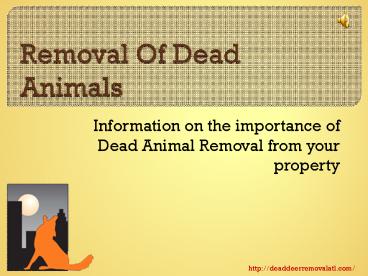 Whom To Call For Dead Animal Removal in Georgia