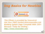 Dog Basics for Newbies
