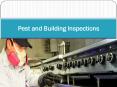 Pest and Building Inspections PowerPoint PPT Presentation