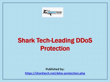 Shark Tech-Leading DDoS Protection