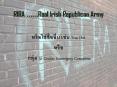 RIRA ......Real Irish Republican Army PowerPoint PPT Presentation