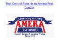 Pest Control Phoenix Az Amera Pest Control PowerPoint PPT Presentation