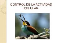 CONTROL DE LA ACTIVIDAD CELULAR
