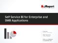 Self Service BI for Enterprise and SMB Applications PowerPoint PPT Presentation