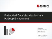 Embedding Customized Data Visualization and Analysis