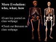 More Evolution: who, what, how PowerPoint PPT Presentation
