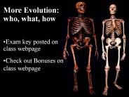 More Evolution: who, what, how
