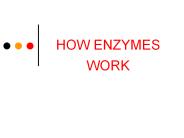 HOW ENZYMES WORK