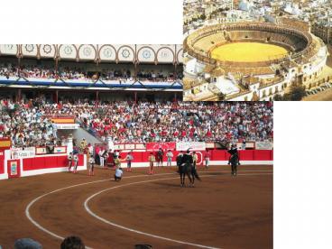 Los Toros