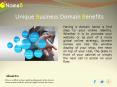 Unique Business Domain Name Benefits PowerPoint PPT Presentation