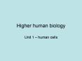 Higher human biology PowerPoint PPT Presentation