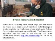 Brunel Preservation Specialist