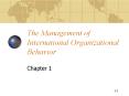 The Management of International Organizational Behavior PowerPoint PPT Presentation