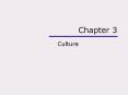 Culture PowerPoint PPT Presentation