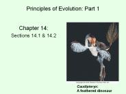 Principles of Evolution: Part 1