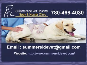 Summerside Vet Hospital – Animal Clinic in Edmonton