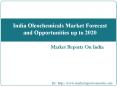 India Oleochemicals Market Forecast and Opportunities up to 2020 PowerPoint PPT Presentation