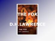 THE FOX