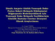 Dizalti Ampute G