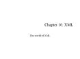 Chapter 10: XML PowerPoint PPT Presentation