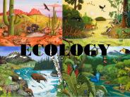 Ecology