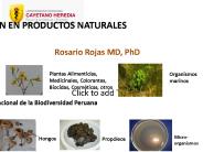 Diapositiva 1